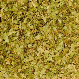Guava Leaves